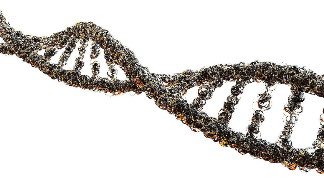 Decoding your DNA: How Tech is Revolutionising Personalised Medicine