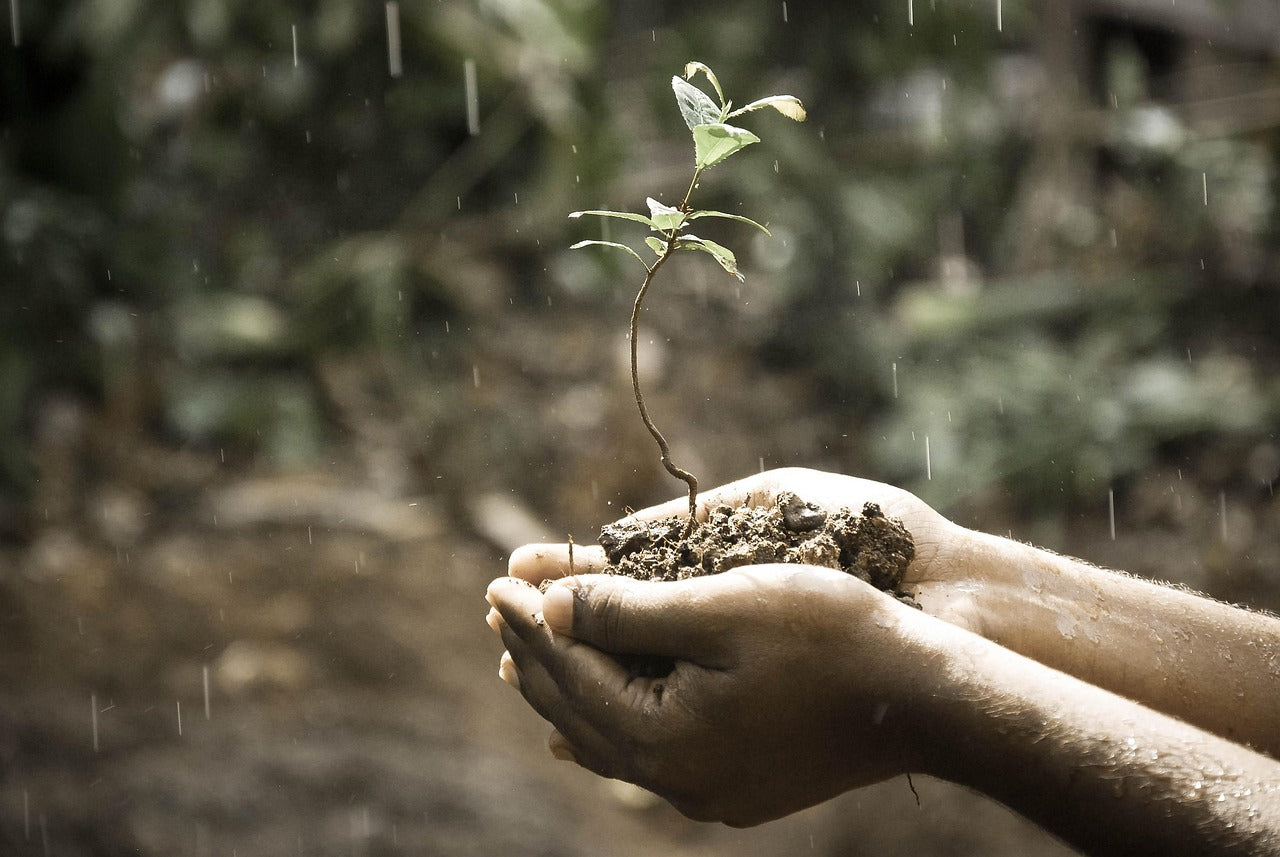 What Does 'Good' Truly Mean? Exploring Philosophy and Morality