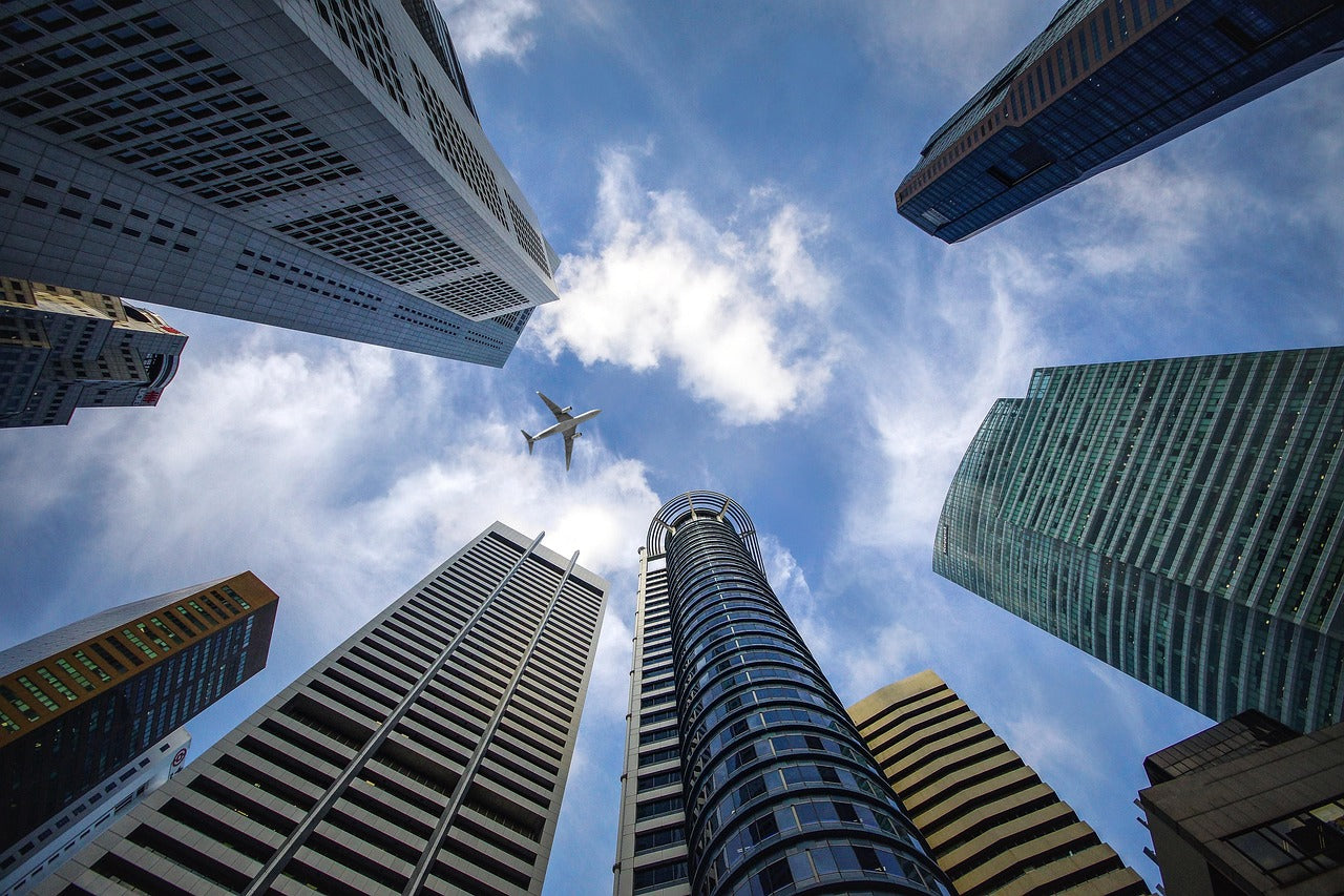 From Concrete Jungles to Living Ecosystems